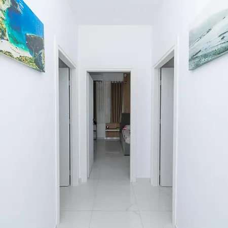 Bologna Albania * Vlore